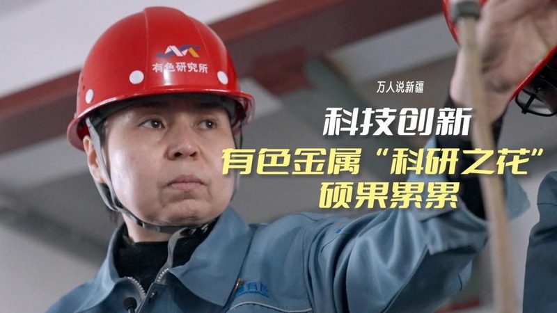 数据治理平台国产化：功能对比与选型要点